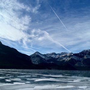 Meet your Posher, Shelly